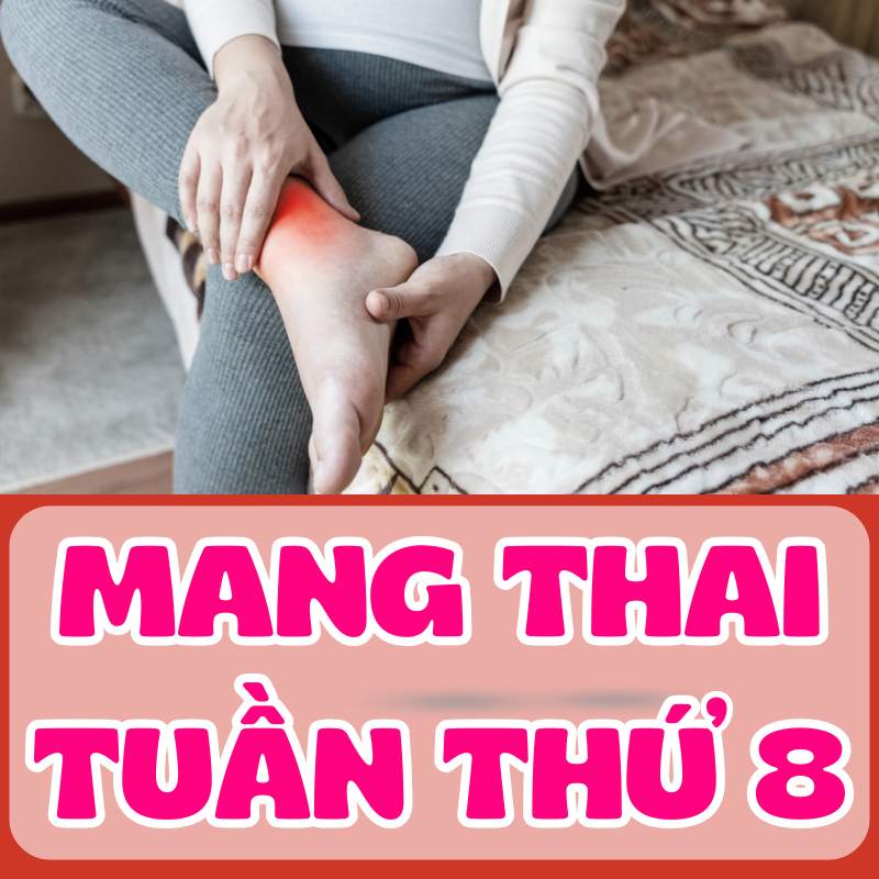 Mang thai tuần thứ 8 và các triệu chứng thường gặp của mẹ bầu